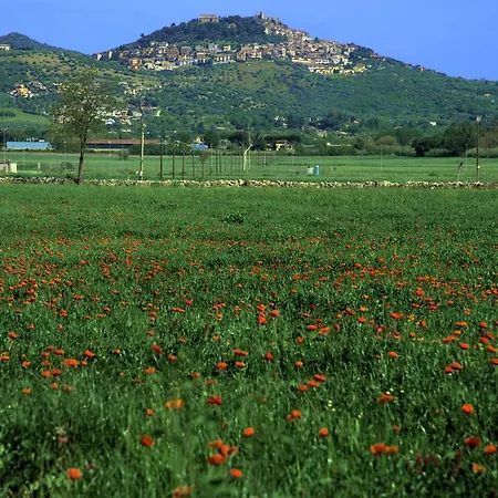 Apartment Agri Domus *